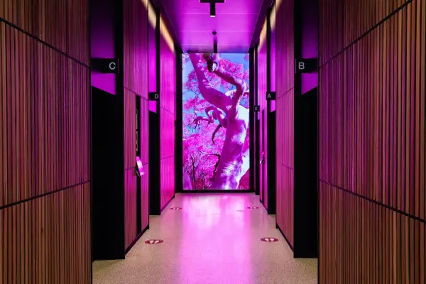 Digital Art in Rental Lobbies: Elevating First Impressions with NFTs & Screen Galleries