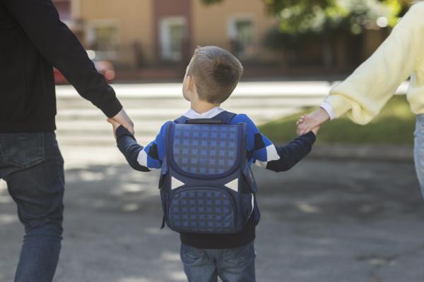 The School Effect: How Catchment Zones Shape Rental Demand in Dubai
